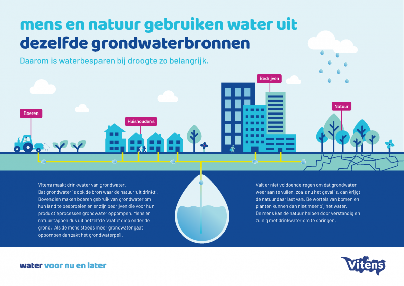 infographic waarin Vitens uitlegt dat mens en natuur wter gebruiken uit dezelfde grondwaterbronnen en dat watersparen bij droogte darom zo belangrijk is